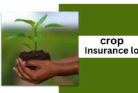 Crop Insurance loan